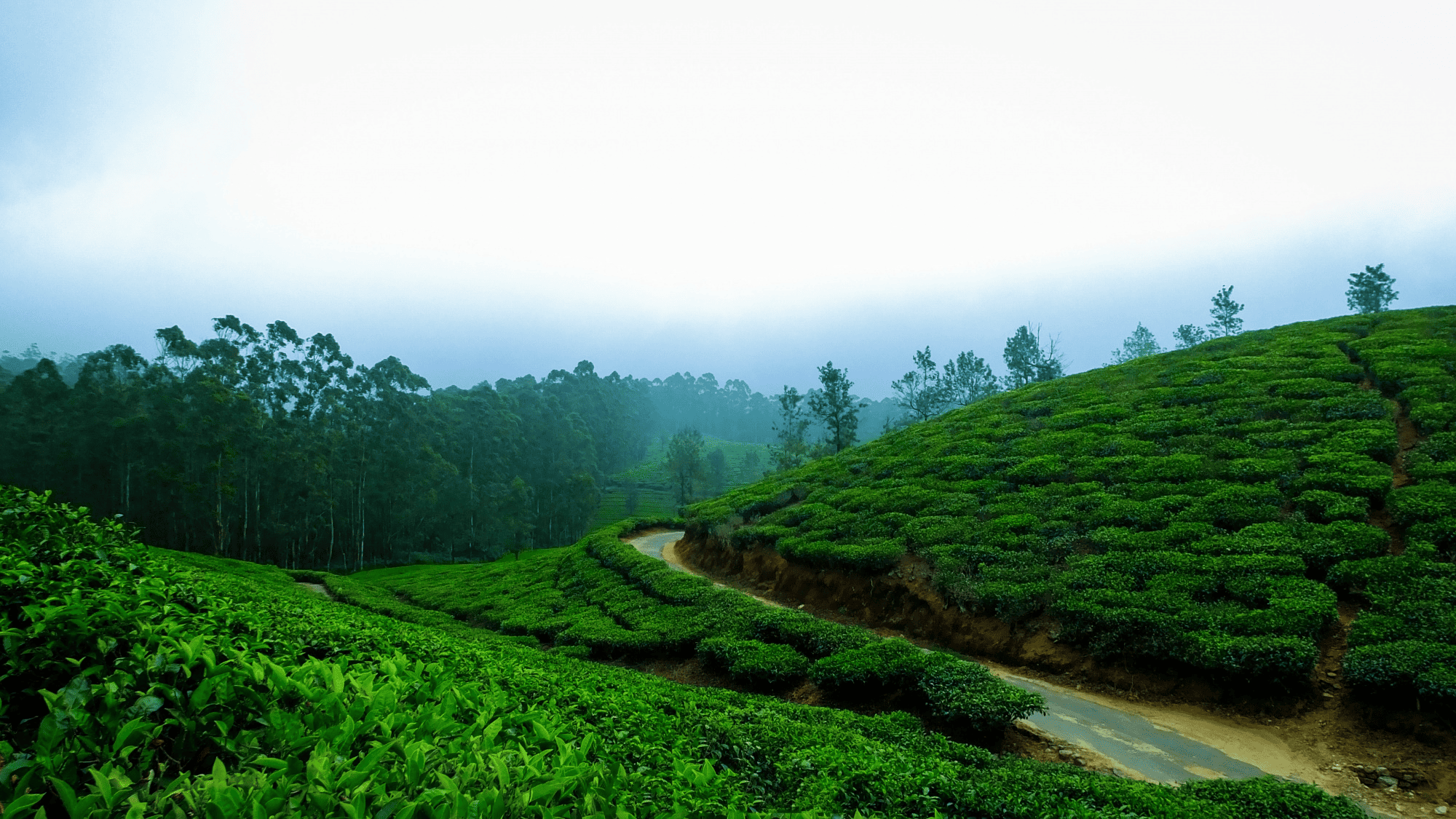 Kerala