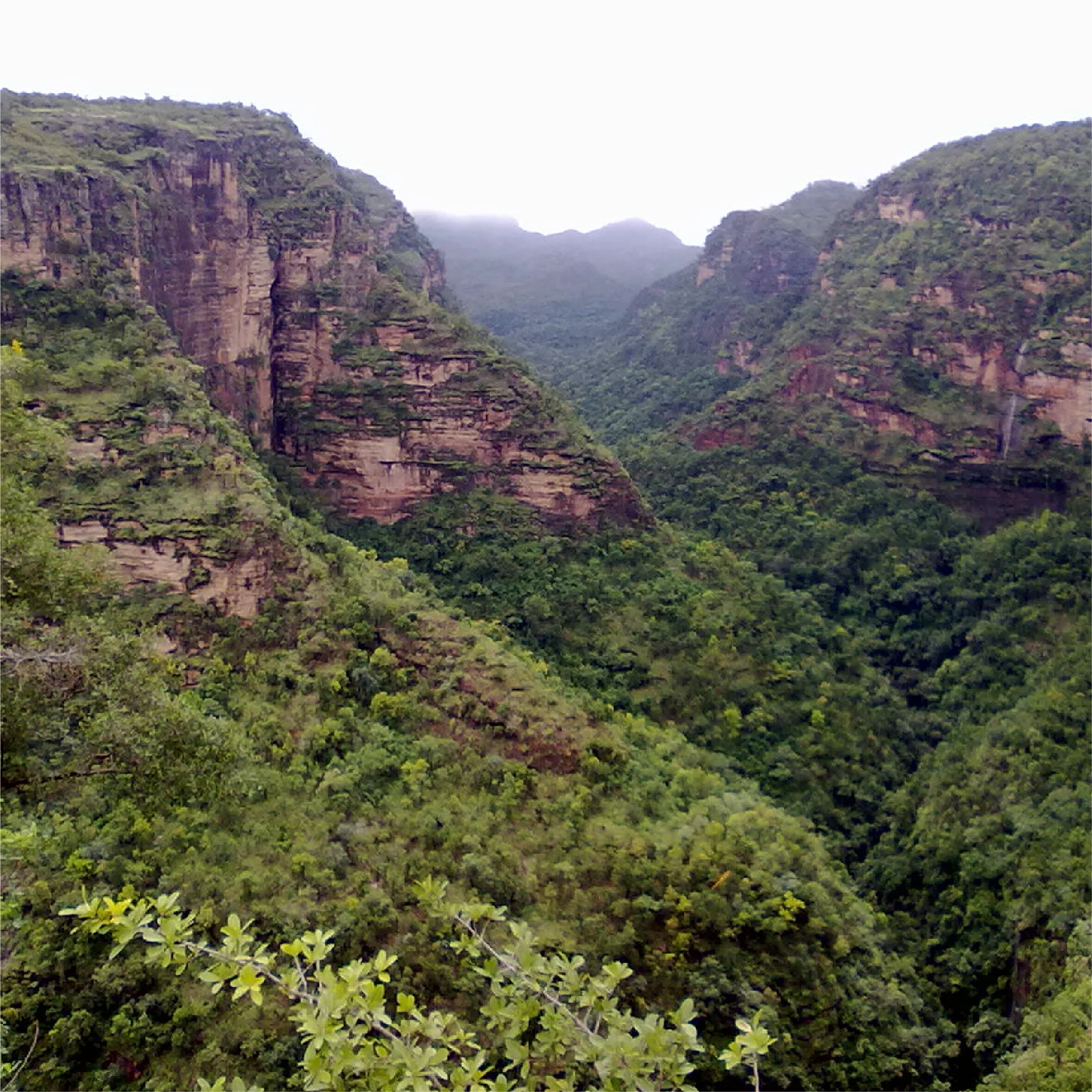 Madhya Pradesh 17