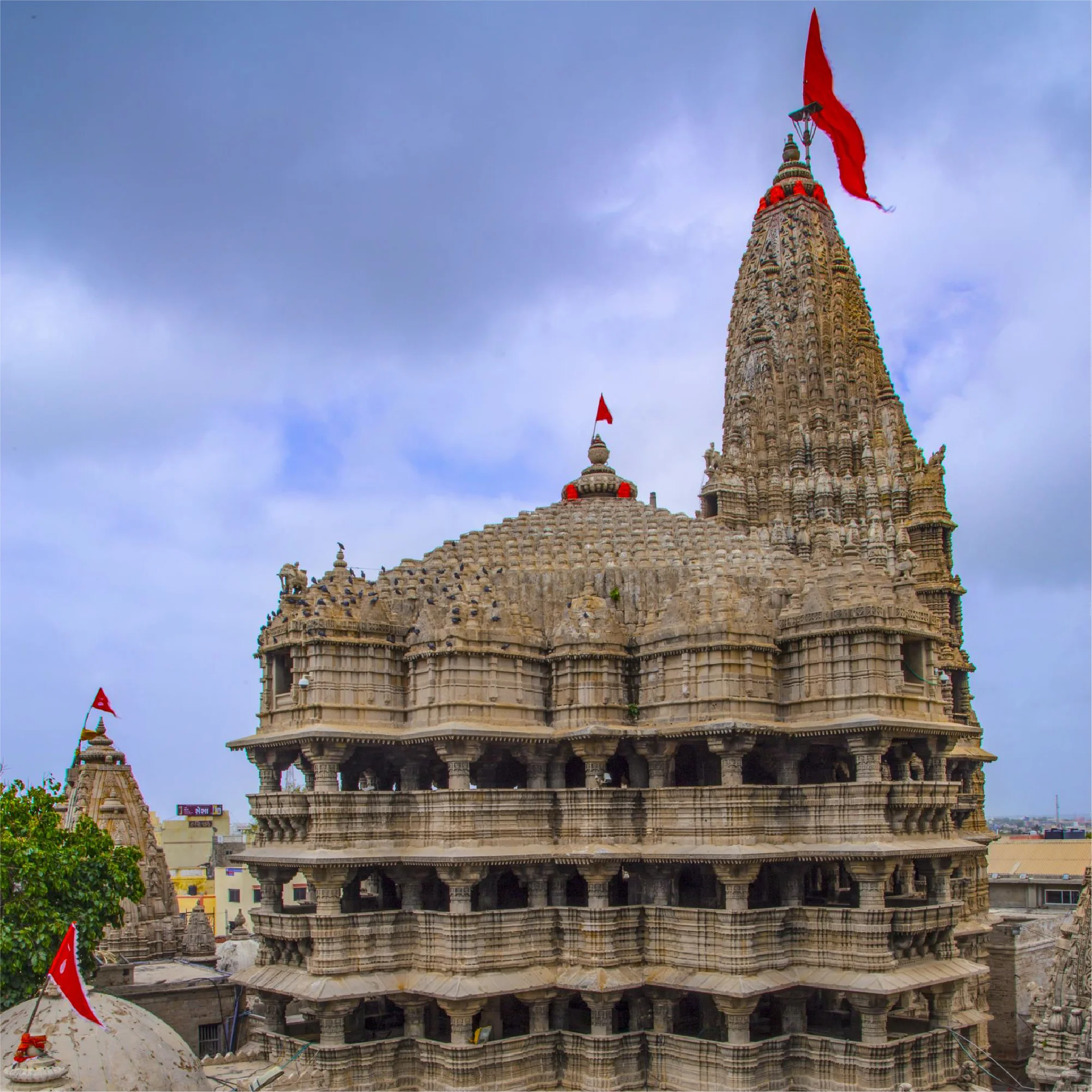 gujarat 11