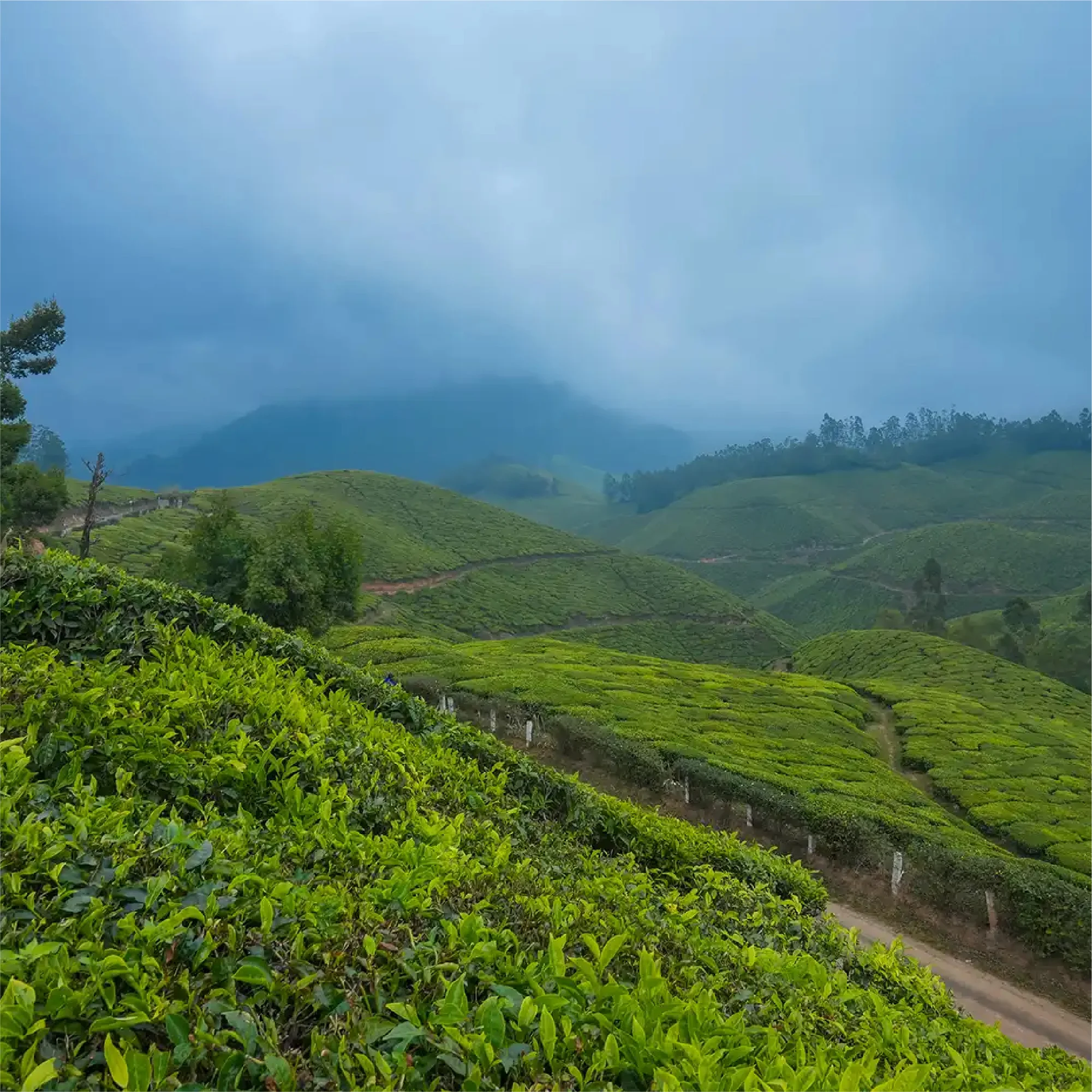 kerala 11