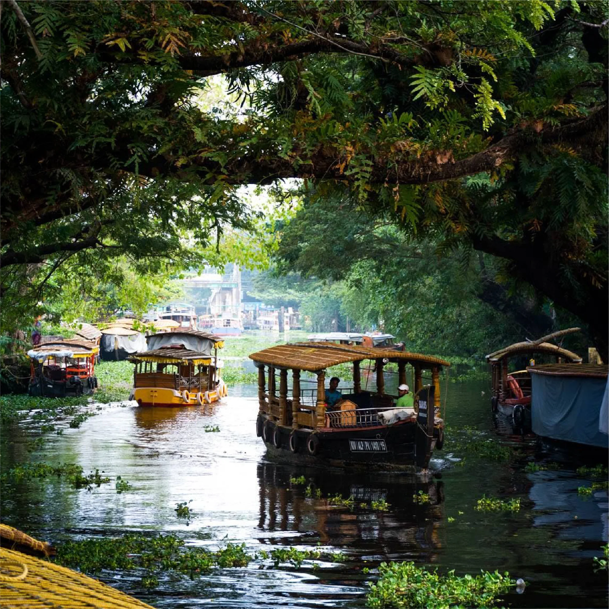 kerala 12