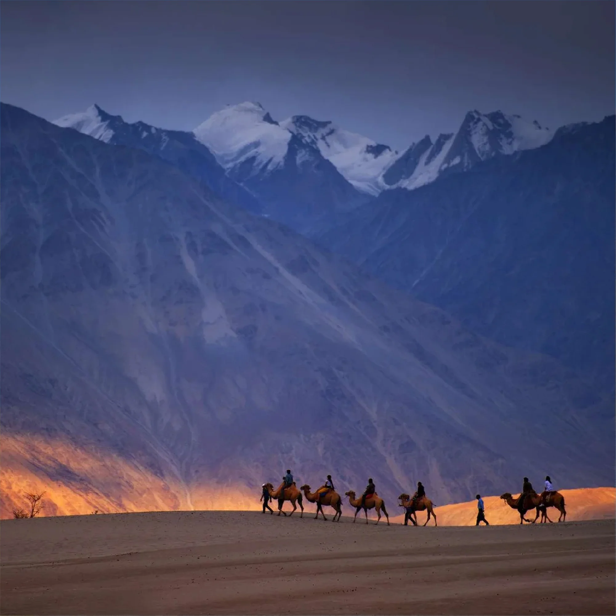 ladakh 12