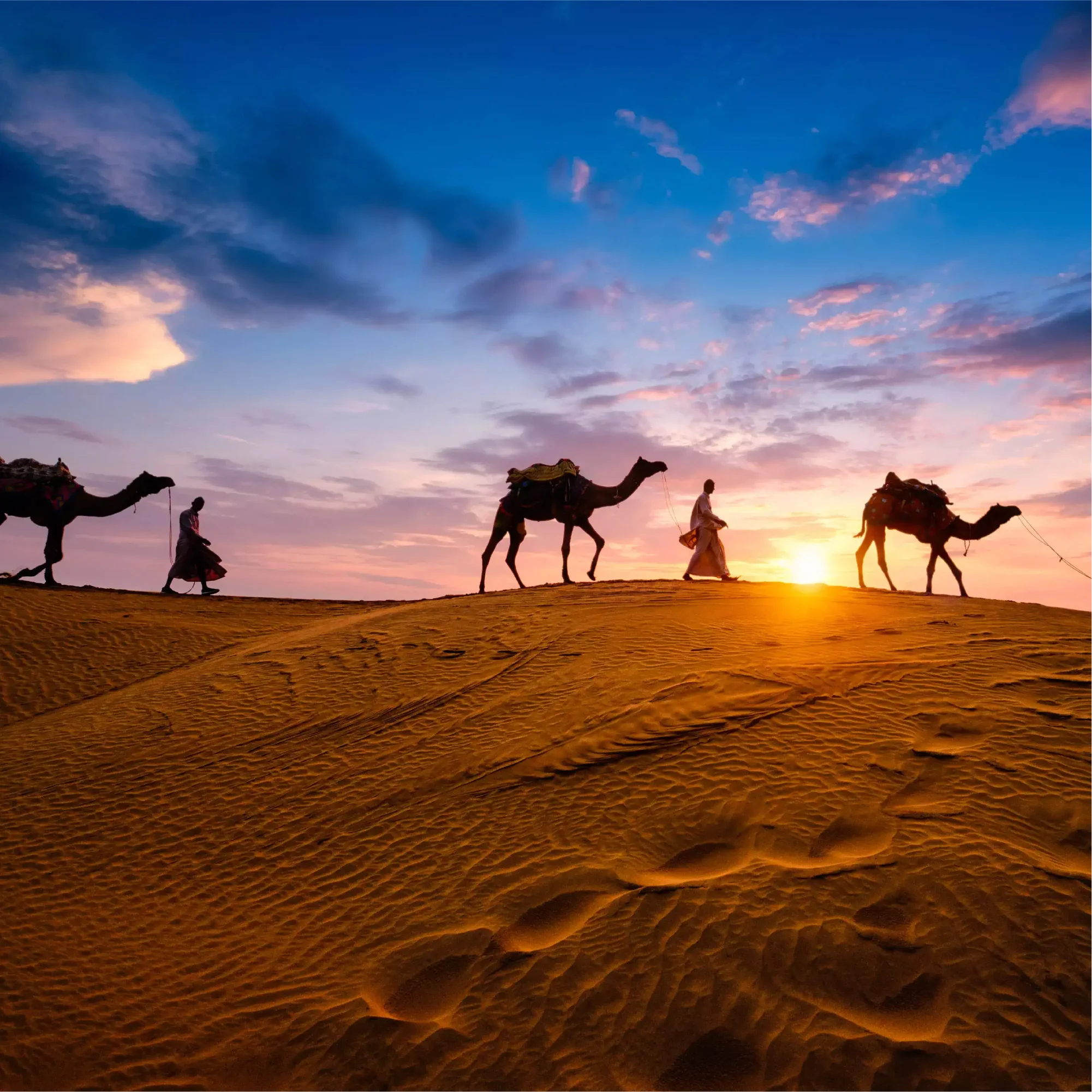 rajasthan 17