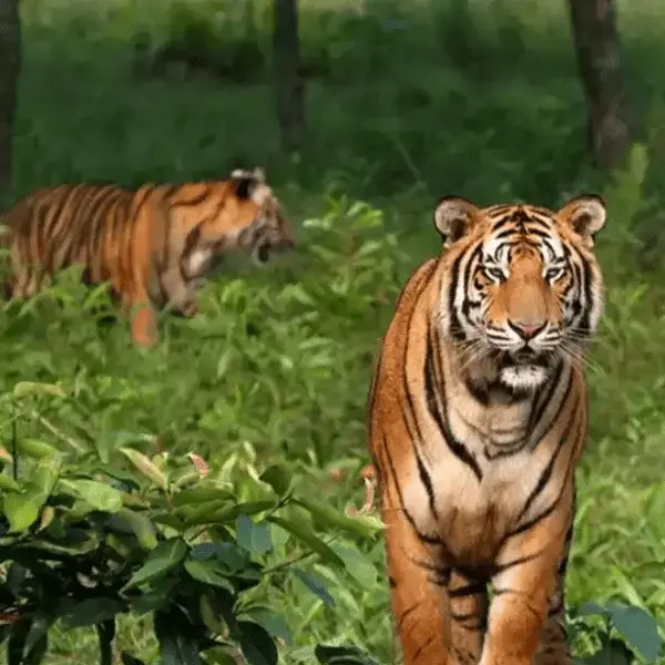 Eastern Coast Locations | Les Clés de L'Inde