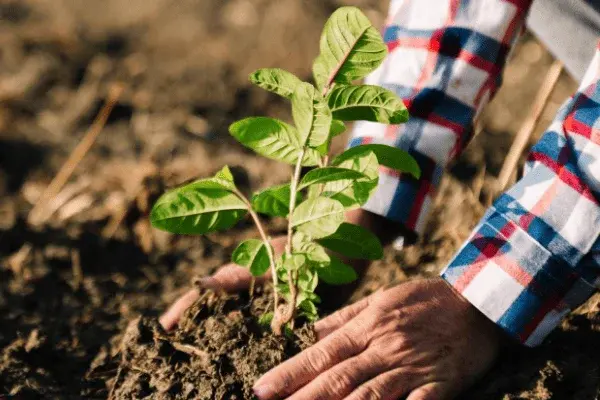 Farming | Les Clés de L'Inde
