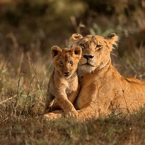 Gujarat Locations | Les Clés de L'Inde