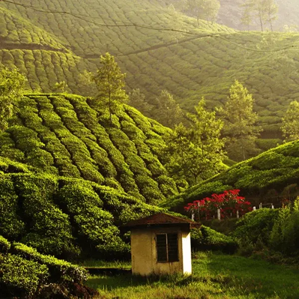 Kerala Locations | Les Clés de L'Inde