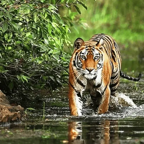 Madhya Pradesh Locations | Les Clés de L'Inde