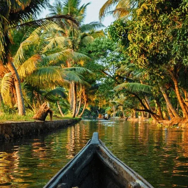 Kerala | Les Clés de L'Inde